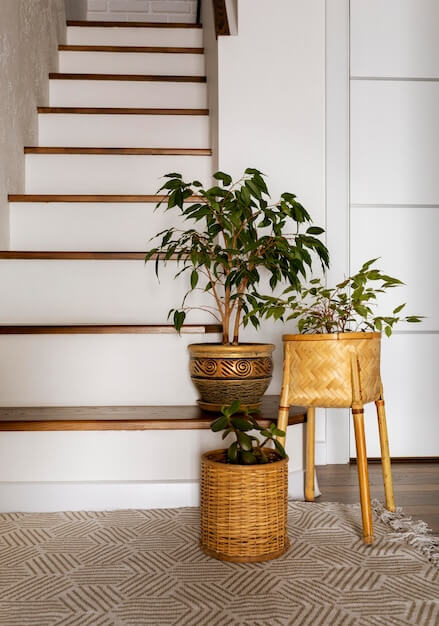 Eco-Chic Interior